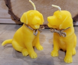 Tiere